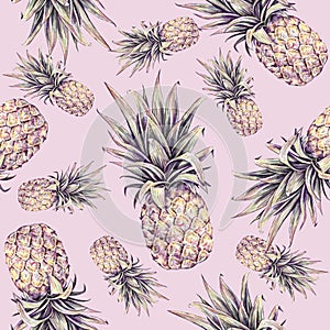 Pineapple on a pink background. Watercolor colourful illustration. Tropical fruit. Seamless pattern. Summer print