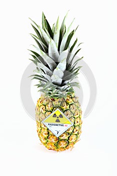 Pineapple with radioaktiv lable photo