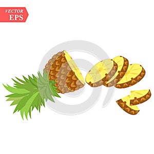 Pineapple realistic fruit with slice. Vector illustration. ananas ripe tropical exotic Juicy fresh food, vitamin healthy
