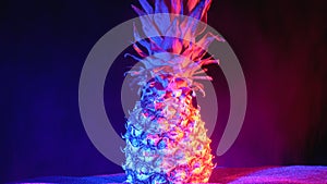 Pineapple with Red and Blue Backlight and the Breeze from the Water Drops Rotates on a Black Background