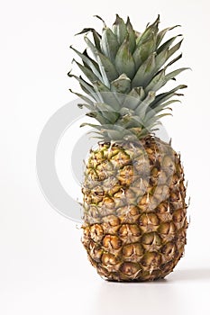 Ananas právo na bílém 