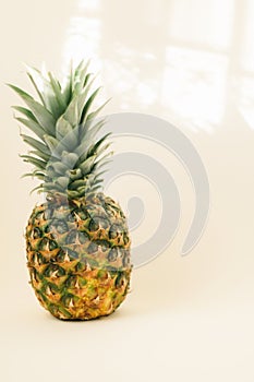Pineapple, a Ripe, Fresh Fruit Food, Whole, Isolated on White summer sun light with shadow , side view