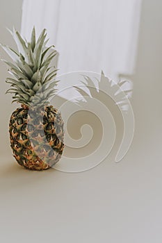 Pineapple, a Ripe, Fresh Fruit Food, Whole, Isolated on White summer sun light with shadow , side view