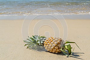 Pineapple on the sandy beach,Phuket