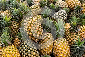 Pineapple sell in the fruit store in market