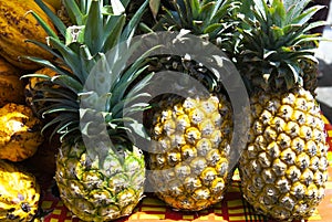 Pineapple sell in local traditional market in Martinique