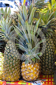 Pineapple sell in local traditional market in Martinique