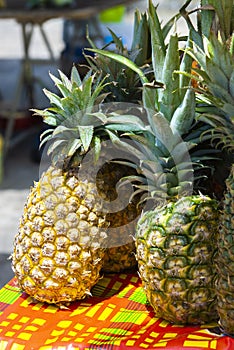 Pineapple sell in local traditional market in Martinique