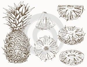 Pineapple set