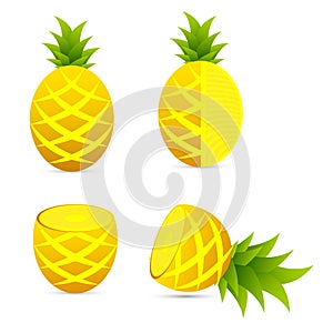 Pineapple set element design