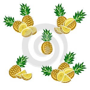 Pineapple set. Vector