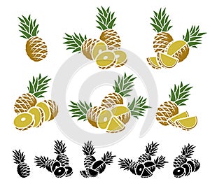 Pineapple set. Vector
