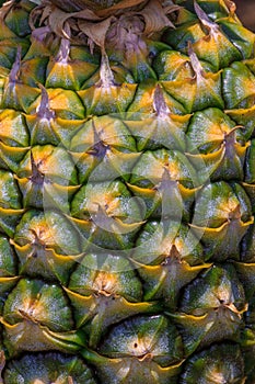 Pineapple Shell Closeup