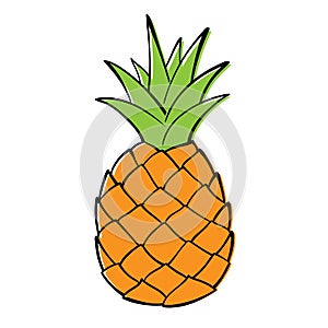 Pineapple. photo