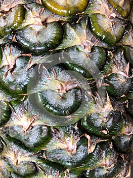 Pineapple skin, Close up of a pineapple showing texture and detail