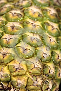 Pineapple skin closeup