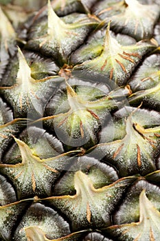 Pineapple Skin texture as background