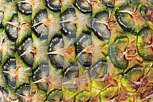 Pineapple skin texture closeup. Pineapple texture. Exotic fruit close-up. Ripe yellow fruit peel macro photo. Pineapple skin surfa