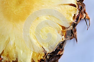 Pineapple slice closeup texture