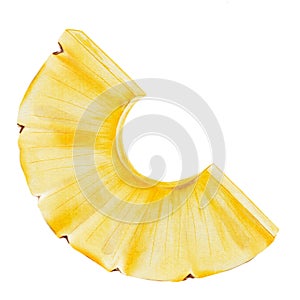 Pineapple slice watercolor. Hand drawn isolated drawing on white background. Clip art of ripe tropical purified fruit photo