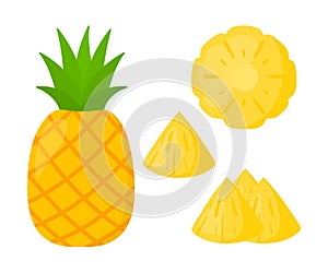 Pineapple Slices Collection Tropical Summer Fruit Doodle Vector Illustration