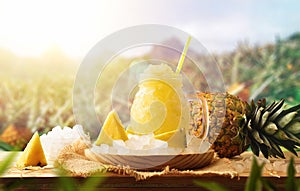 Pineapple slush on a table in field with pineapple crops