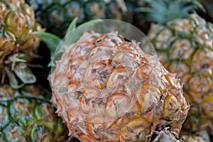 Pineapple sold at Mercado da Graca in Ponta Delgada on the island of Sao Miguel, Portugal