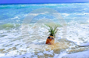 Pineapple on a Surfing Vacation
