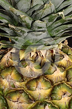 Pineapple Texture