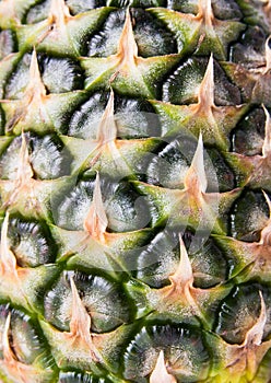 Pineapple texture