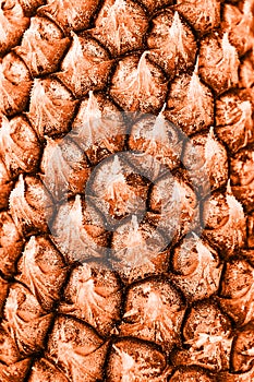 Pineapple texture pattern. Natural exotic fruit