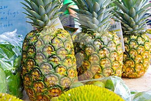 Pineapple Tropical Fruit