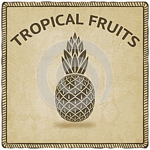 Pineapple tropical fruit symbol