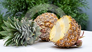 The pineapple is a tropical plant of half pieces.