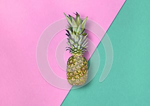 Pineapple on two color background template