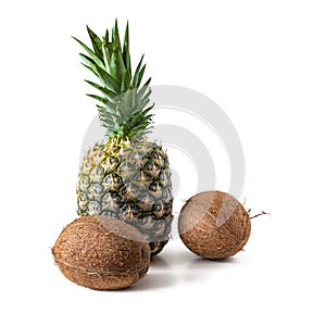 Pineapple and two shaggy coconuts on a white background