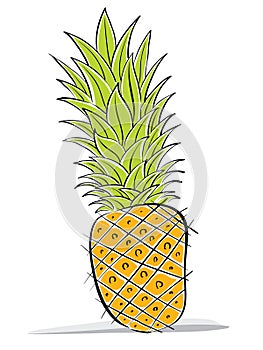 Pineapple vector drawing.