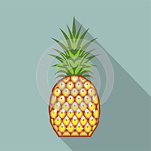 Pineapple vector file