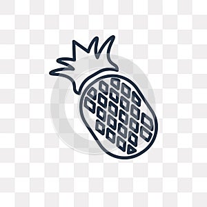 Pineapple vector icon isolated on transparent background, linear