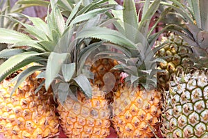 Pineapple is very sweet, perfect for eating in the heat of the day