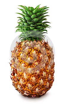 Pineapple on white