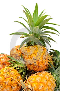 Pineapple on white