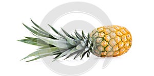 Pineapple on white background