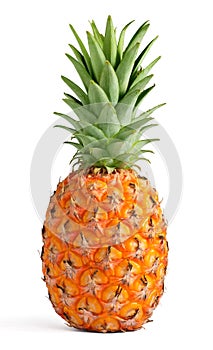 Ananas 