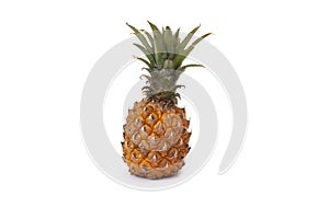 Pineapple on a white background. Juicy pineapple close-up on an isolated white background