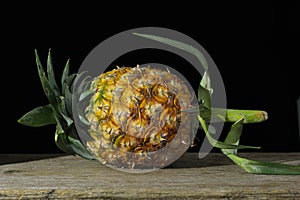 Pineapple on a wooden backdrop in black