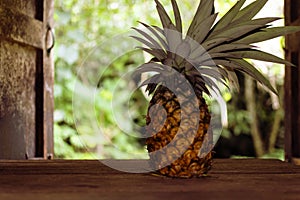 Pineapple on wooden table in country kitchen on background of garden country.