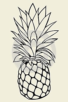 Pineapple vector Illustration