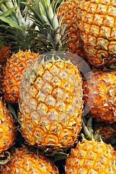 Pineapples