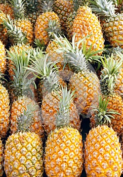 Pineapples